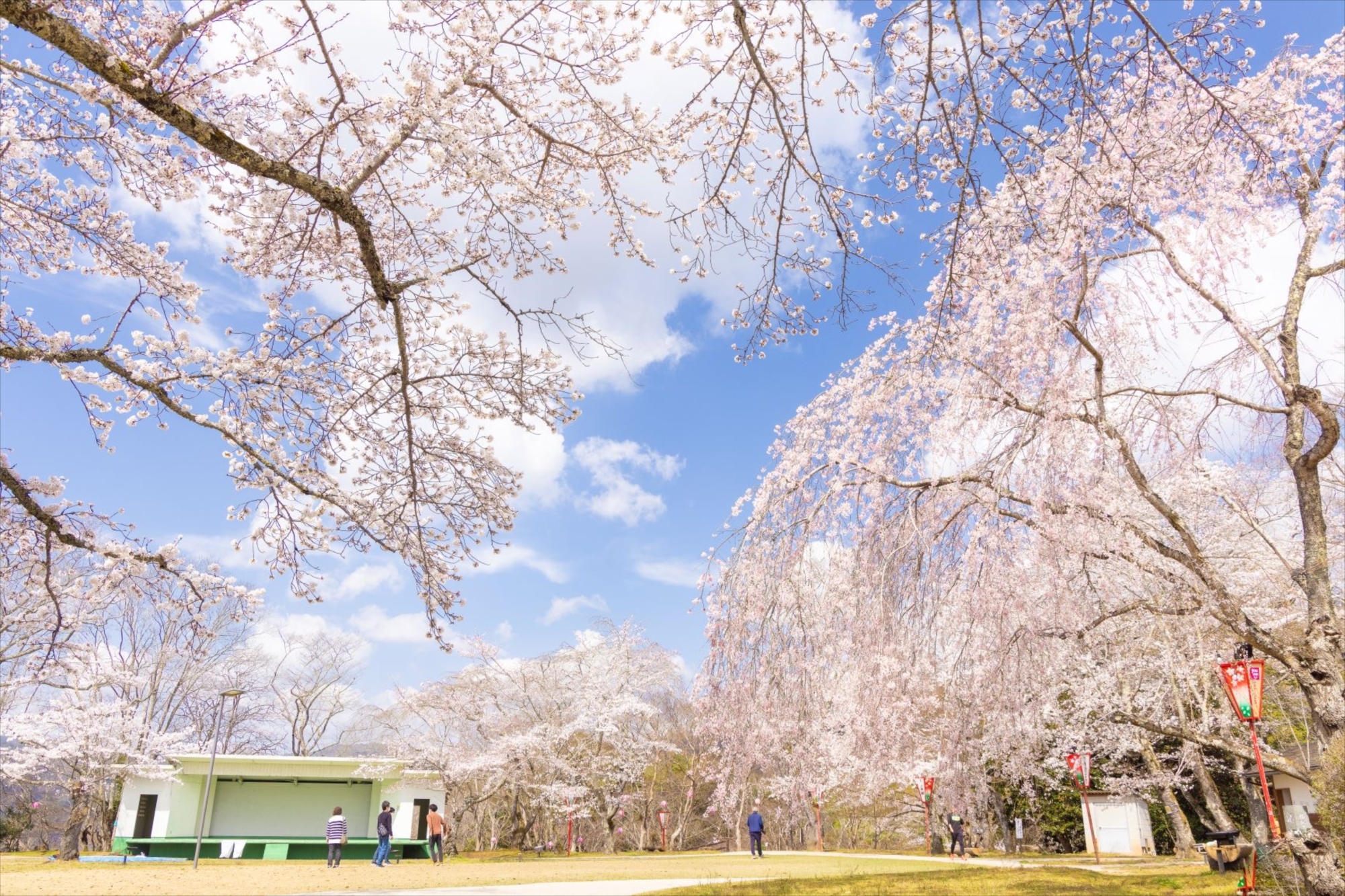 八田原グリーンパークの施設紹介